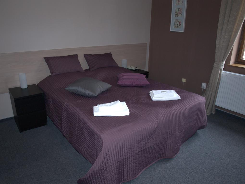 Hotel U Lva Bílina 객실 사진
