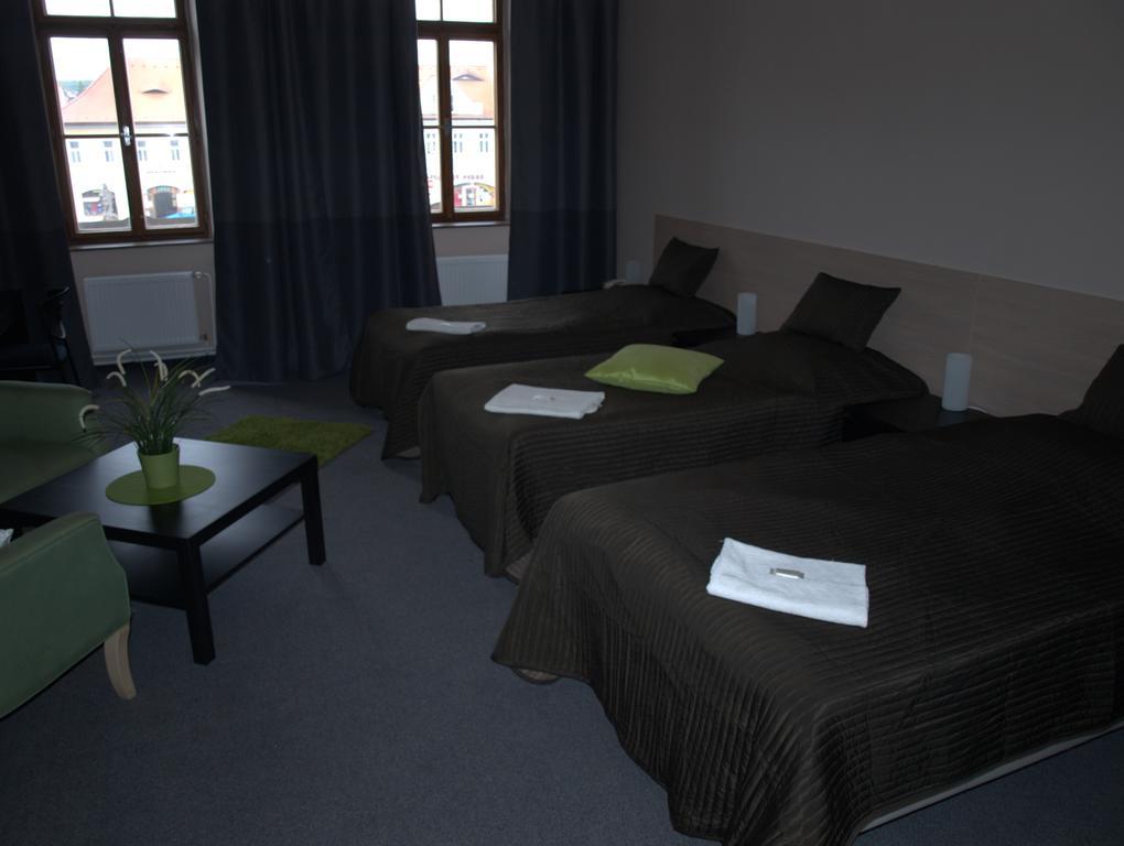 Hotel U Lva Bílina 객실 사진
